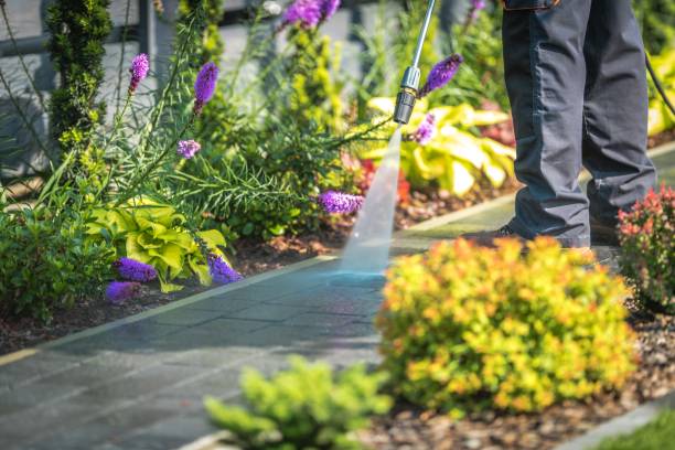 Best Pre-Holiday Cleaning  in Mahnomen, MN