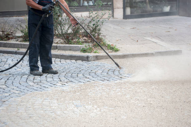 Best Animal Enclosure Cleaning  in Mahnomen, MN